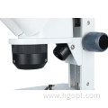 Binocular Head Microscope with Dial Dimmer Switch